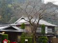 takao-kinsuitei-traditional-restaurant-