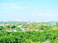 1-bed-luxury-condo-jomtien