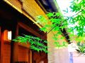 guest-house-kingyoya