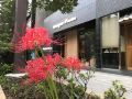 dormy-inn-premium-tokyo-kodenmacho