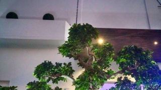mb-boutique-hotel