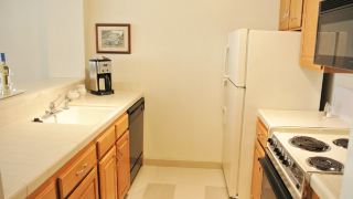 cow-hollow-suites