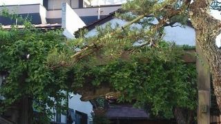 yukarinoyado-koraku