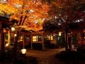 fujisan-onsen-hotel-kaneyamaen