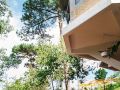 maple-hostel