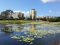 alex-beach-cabins-and-tourist-park