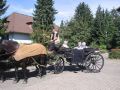 hotel-pension-sabine