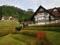 the-lakehouse-cameron-highlands