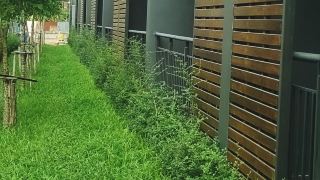 pocket-park-chaiyaphum-apartment