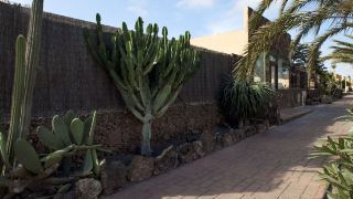 gbh-apartamentos-corralejo