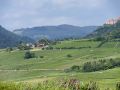 le-clos-saint-vincent