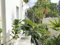 gurney-4-plus-1-bali-style-tranquil-villa