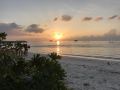 sun-shine-view