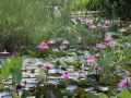baan-maka-nature-lodge