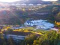 vivaldi-park-hongcheon