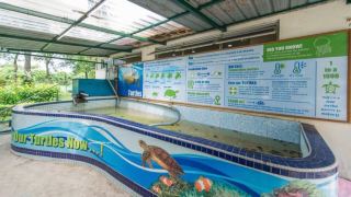 port-dickson-7pax-2br-glory-beach-resort-seaview