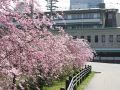 hotel-yuzankaku