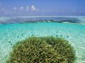 lti-maafushivaru-maldives