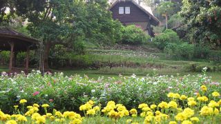 mae-sa-valley-garden-resort