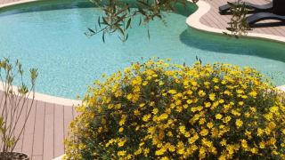 studio-in-cagnes-sur-mer-with-pool-access-enclosed-garden-and-wifi-
