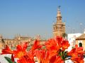 hotel-boutique-casas-de-santa-cruz