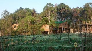 koref-desaru-leisure-farm