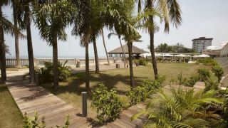palm-camayenne