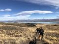 tailor-made-tekapo-accommodation-guesthouse-and-hostel