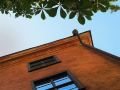 castanea-old-town-hostel