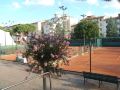 bandb-leopoldo