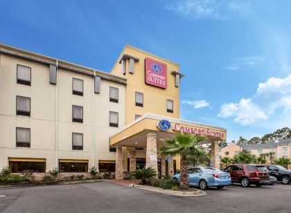 Comfort Suites Golden Isles Gateway