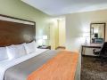 comfort-inn-chandler-phoenix-south-i-10