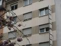 hotel-falk