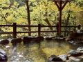 shitajima-onsen-senyukan