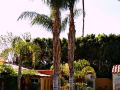 helios--a-gay-mens-clothing-optional-resort