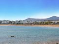 relaxia-olivina