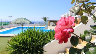 mr-and-mrs-white-tinos