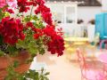 casual-de-las-letras-sevilla