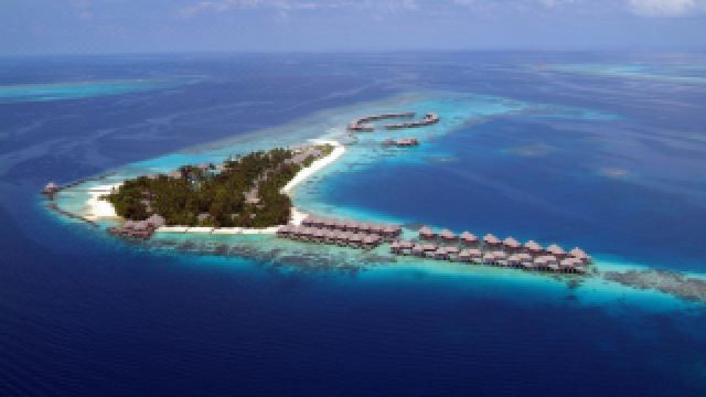 coco-bodu-hithi