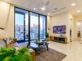 aqua-vinhome-bason-stunning-view