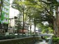 feng-chia-green-hotel