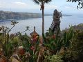 gamat-garden-home-stay
