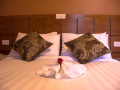 masailand-safari-and-lodge
