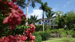 hotel-mockingbird-hill