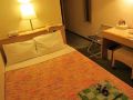 uji-dai-ichi-hotel