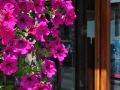 hotel-igea