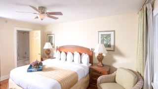hollander-hotel-downtown-st-petersburg