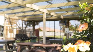 mercury-bay-holiday-park