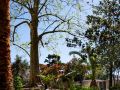 villa-elisio-hotel-and-spa