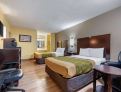 room overview picture